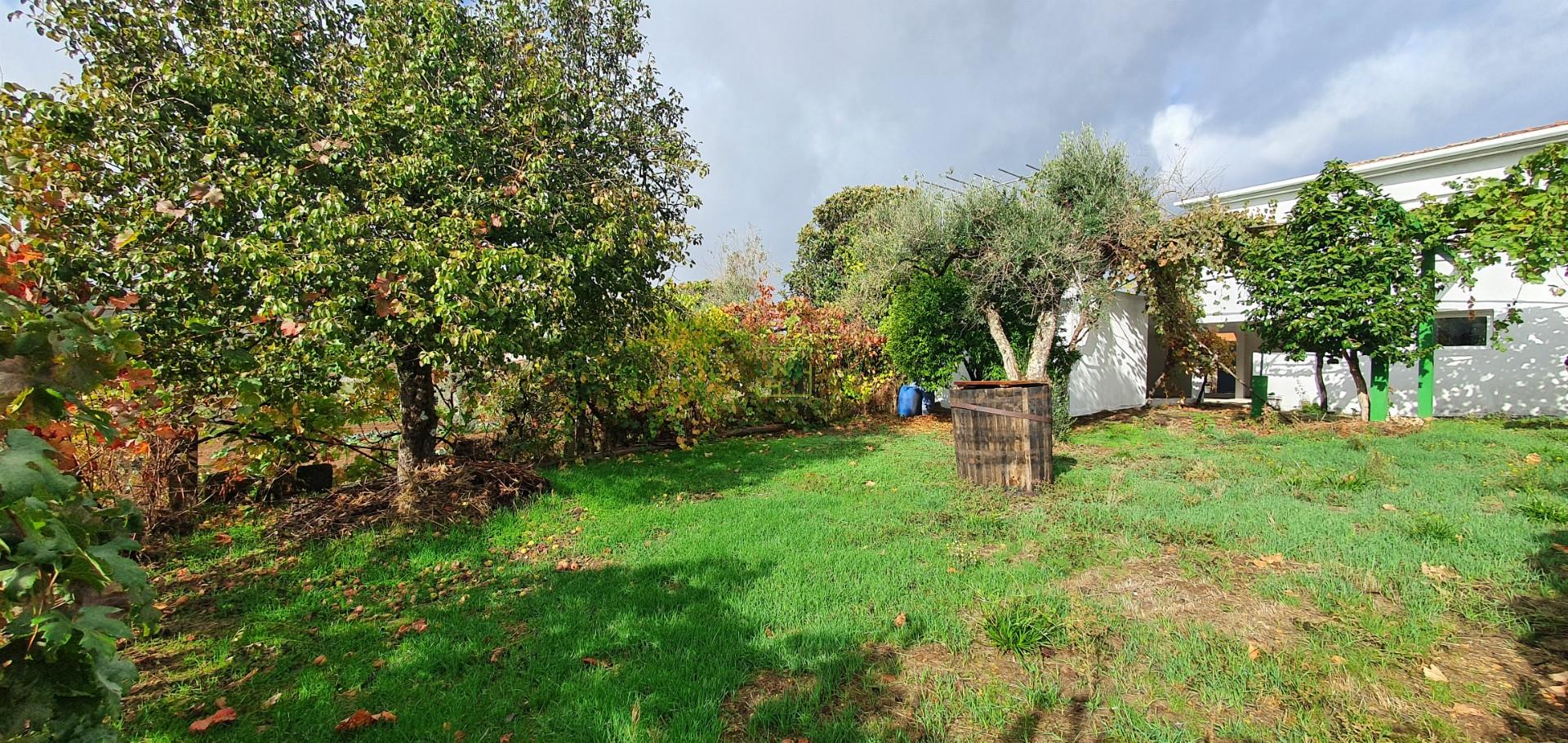 Moradia T3+1 para venda em Estreito, Oleiros