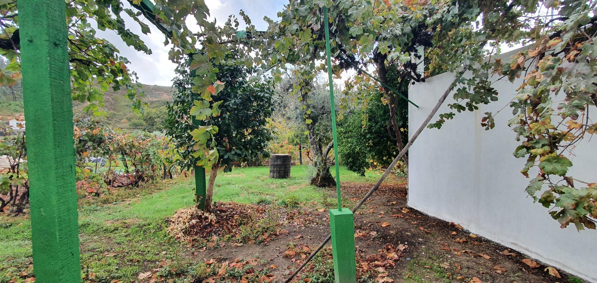 Moradia T3+1 para venda em Estreito, Oleiros