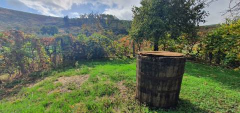 Moradia T3+1 para venda em Estreito, Oleiros