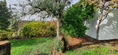 Moradia T3+1 para venda em Estreito, Oleiros