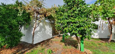 Moradia T3+1 para venda em Estreito, Oleiros