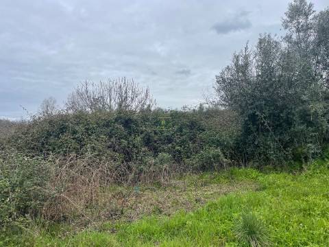 Quinta com construção rural em Oledo