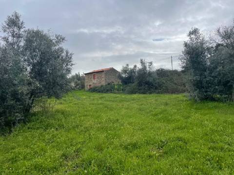 Quinta com construção rural em Oledo