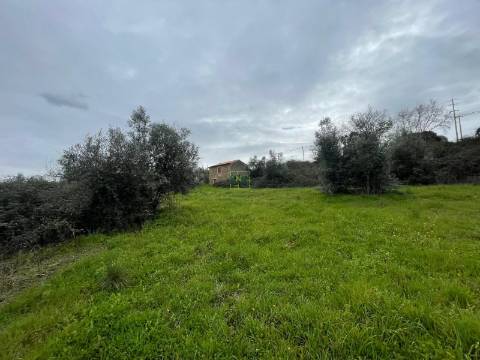 Quinta com construção rural em Oledo