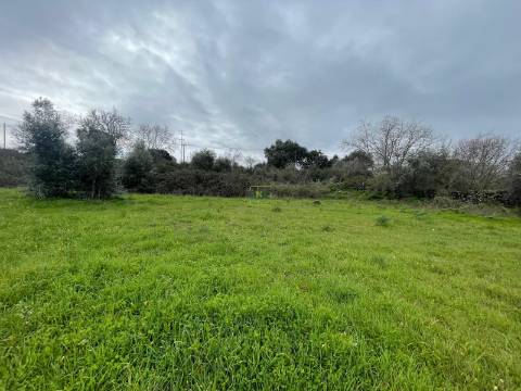 Quinta com construção rural em Oledo