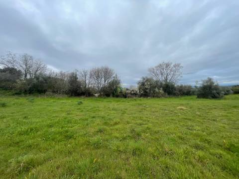 Quinta com construção rural em Oledo