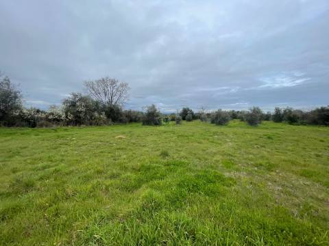 Quinta com construção rural em Oledo