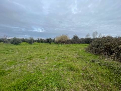 Quinta com construção rural em Oledo