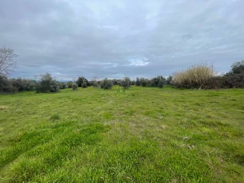 Quinta com construção rural em Oledo