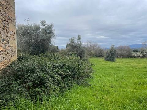 Quinta com construção rural em Oledo