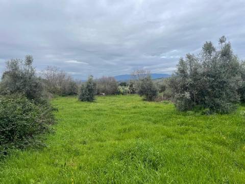 Quinta com construção rural em Oledo