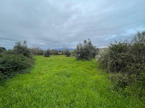 Quinta com construção rural em Oledo