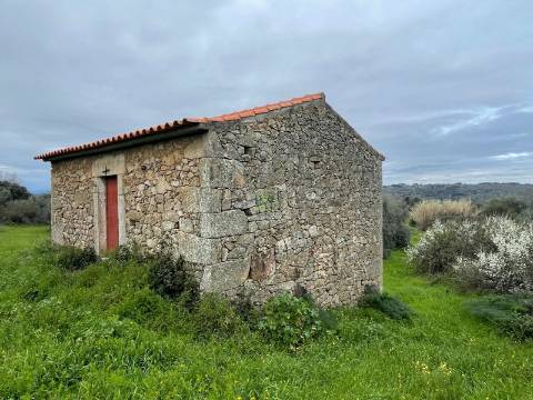 Quinta com construção rural em Oledo
