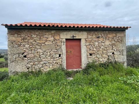 Quinta com construção rural em Oledo