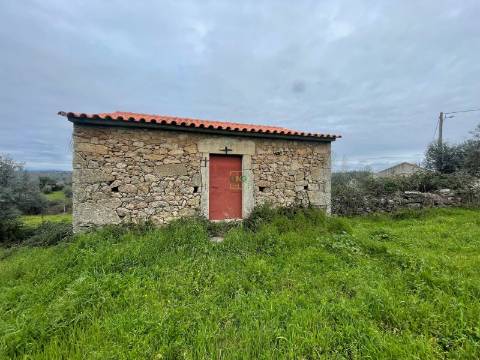 Quinta com construção rural em Oledo