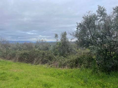 Quinta com construção rural em Oledo