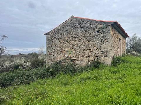 Quinta com construção rural em Oledo