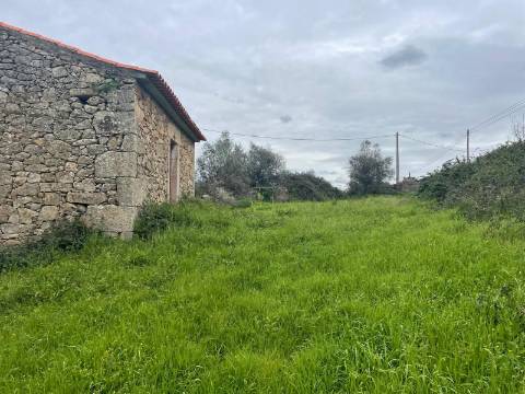 Quinta com construção rural em Oledo