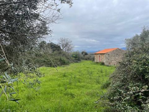 Quinta com construção rural em Oledo