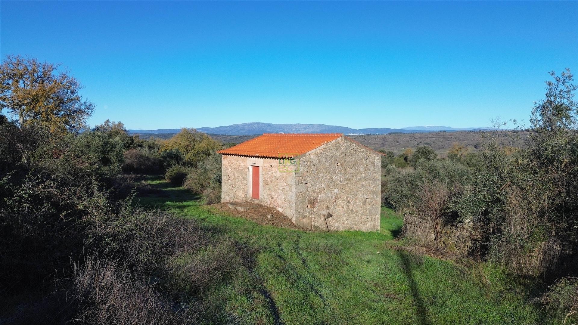 Quinta com construção rural em Oledo