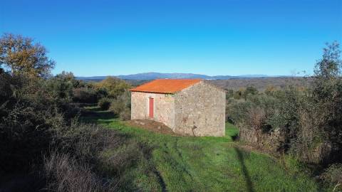 Quinta com construção rural em Oledo