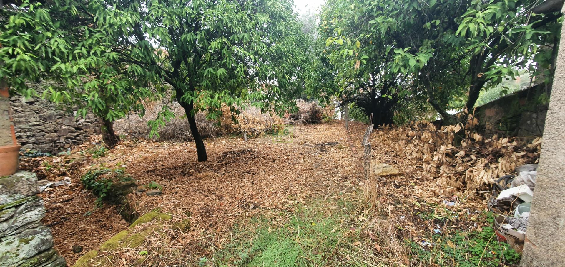 Moradia com quintal na freguesia de Sobral do Campo - Castelo Branco
