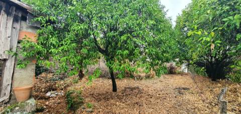 Moradia com quintal na freguesia de Sobral do Campo - Castelo Branco