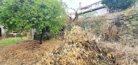 Moradia com quintal na freguesia de Sobral do Campo - Castelo Branco