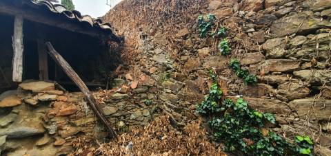 Moradia com quintal na freguesia de Sobral do Campo - Castelo Branco