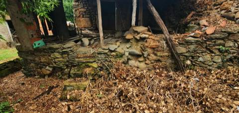 Moradia com quintal na freguesia de Sobral do Campo - Castelo Branco