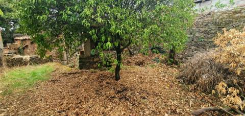 Moradia com quintal na freguesia de Sobral do Campo - Castelo Branco