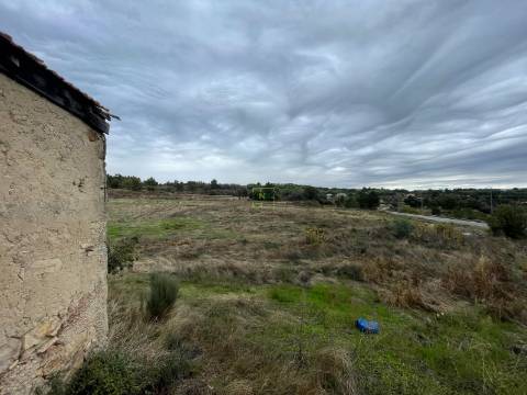 Quinta Vedada com Abundância de Água, Castanheiros e Casa para Recuperar —