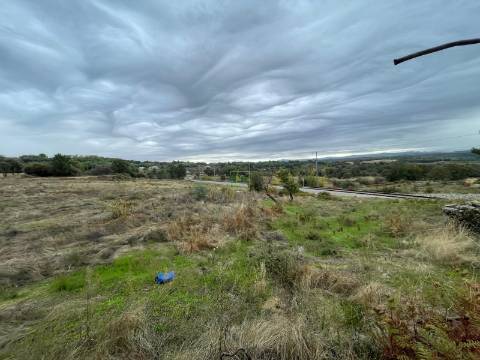 Quinta Vedada com Abundância de Água, Castanheiros e Casa para Recuperar —