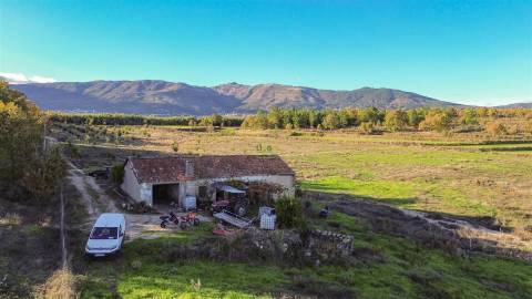 Quinta Vedada com Abundância de Água, Castanheiros e Casa para Recuperar —