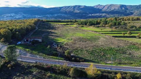 Quinta Vedada com Abundância de Água, Castanheiros e Casa para Recuperar —