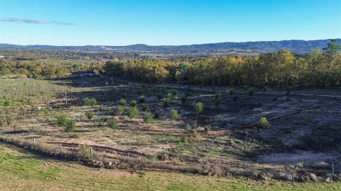 Quinta Vedada com Abundância de Água, Castanheiros e Casa para Recuperar —