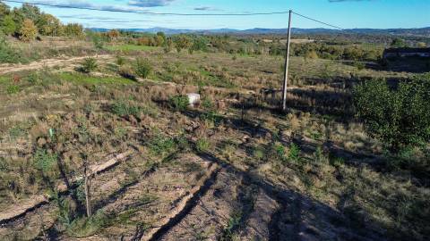 Quinta Vedada com Abundância de Água, Castanheiros e Casa para Recuperar —