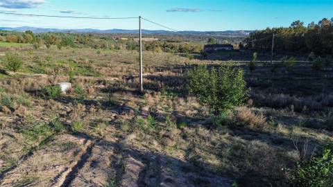 Quinta Vedada com Abundância de Água, Castanheiros e Casa para Recuperar —