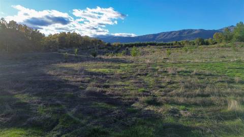 Quinta Vedada com Abundância de Água, Castanheiros e Casa para Recuperar —