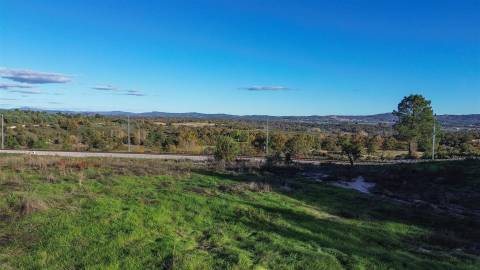 Quinta Vedada com Abundância de Água, Castanheiros e Casa para Recuperar —