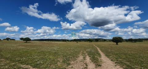 Herdade T7 Venda em Malpica do Tejo,Castelo Branco