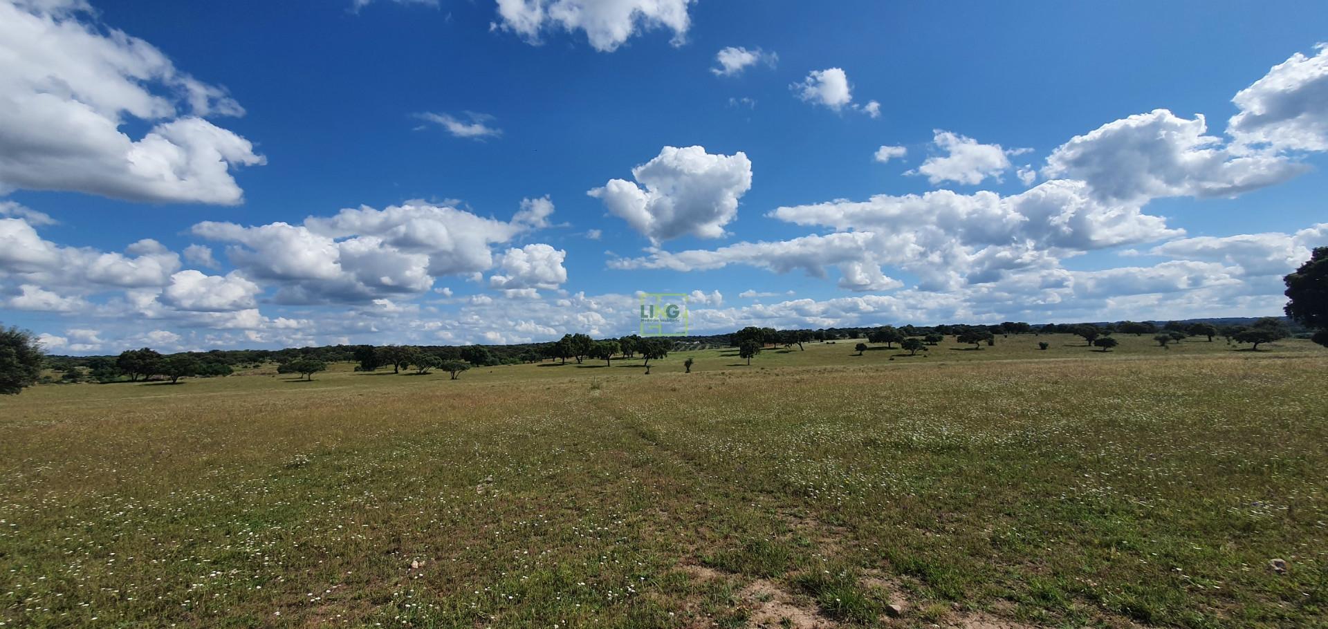 Herdade T7 Venda em Malpica do Tejo,Castelo Branco