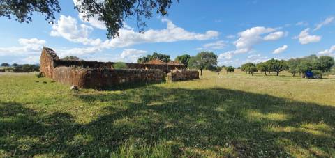 Herdade T7 Venda em Malpica do Tejo,Castelo Branco