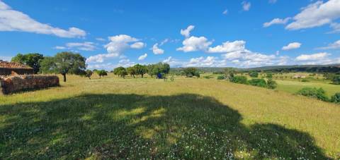 Herdade T7 Venda em Malpica do Tejo,Castelo Branco