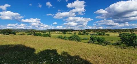 Herdade T7 Venda em Malpica do Tejo,Castelo Branco