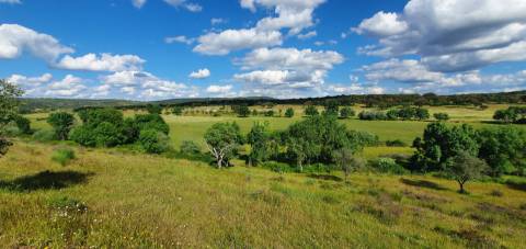 Herdade T7 Venda em Malpica do Tejo,Castelo Branco