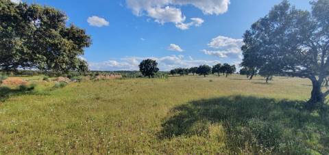 Herdade T7 Venda em Malpica do Tejo,Castelo Branco