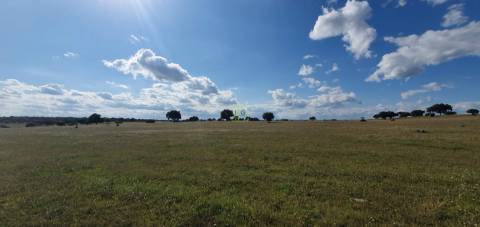 Herdade T7 Venda em Malpica do Tejo,Castelo Branco