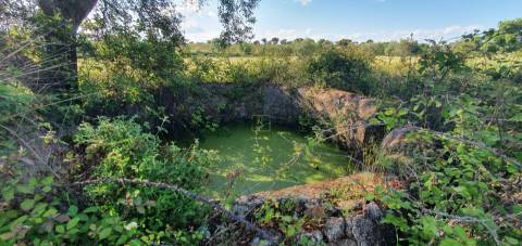 Herdade T7 Venda em Malpica do Tejo,Castelo Branco