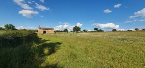 Herdade T7 Venda em Malpica do Tejo,Castelo Branco